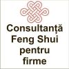 Consultanta Feng Shui pentru firme in Brasov