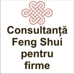 Consultanta Feng Shui pentru firme in Brasov