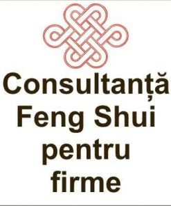 Consultanta Feng Shui pentru firme in Brasov