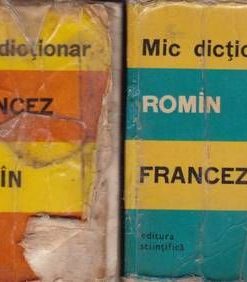 Mic dictionar romin-francez si francez-roman