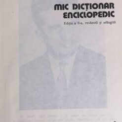 Dictionar Englez - Roman