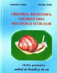 Originile Renasterii italiene - trecento