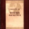 Soseaua asfaltata