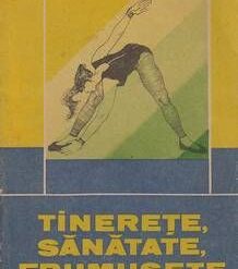 Originile Renasterii italiene - trecento