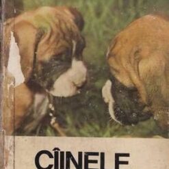 Cainele piretenul nostru