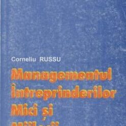 Planificarea strategica pentru intreprinderi mici