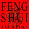 Feng Shui esential