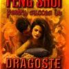 Feng Shui pentru succesul in dragoste