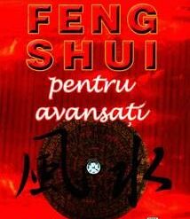 Feng Shui pentru avansati
