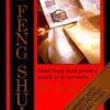 Manual de Feng Shui