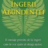 Ingerii abundentei