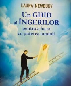 Un ghid al ingerilor