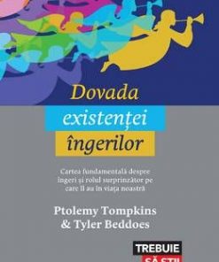 Dovada existentei ingerilor