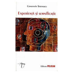 Experienta si semnificatie