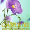 Ganduri pentru fiecare zi