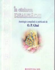 IN CAUTAREA REALIZARII