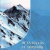 DE LA SUCCES LA IMPLINIRE