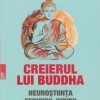 Creierul lui Buddha