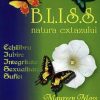 B.L.I.S.S. - natura extazului