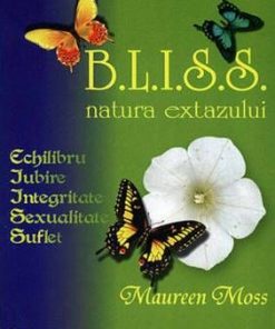 B.L.I.S.S. - natura extazului