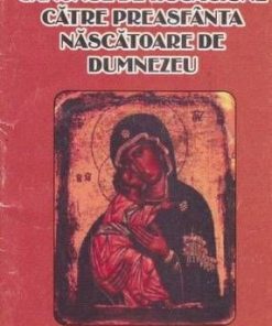 Canonul de rugaciune catre preasfanta nascatoare de Dumnezeu