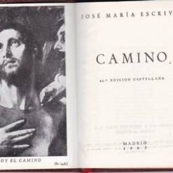 Camino - lb. spaniola