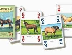 Carti de joc/Tarot - Cai - 54 carti