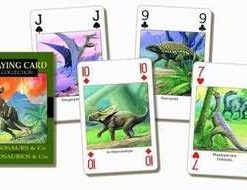 Plansa explicativa a cartilor de Tarot - format A4