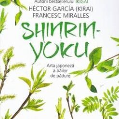 Shinrin Yoku - Arta japoneza a bailor de padure