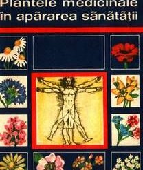 Miraculoasele plante antistres