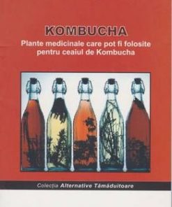 Kombucha