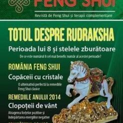 Universul Feng Shui Nr. 6