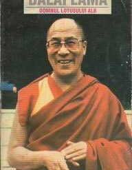Anul ZEN