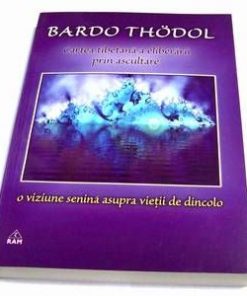 Prabhupada - limba engleza