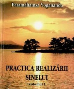 Practica realizarii sinelui - Vol. 1