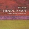 Hinduismul - foarte scurta introducere