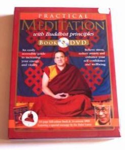 Meditatii practice cu ajutorul principiilor Buddhiste