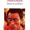 Nirvana - Tehnici de meditatie